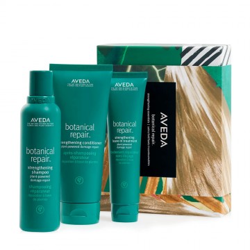 Aveda Botanical Repair Strengthening Essentials