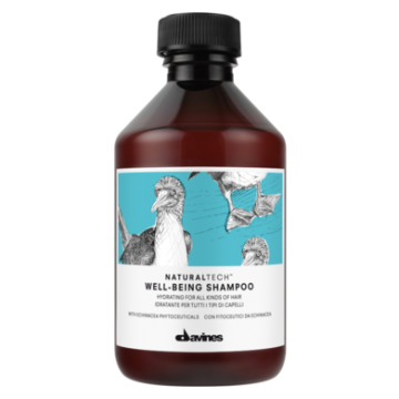 Davines Natural Tech Well Being Shampoo 250ml