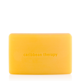 Aveda Caribbean Therapy Bath Bar