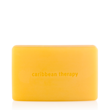 Aveda Caribbean Therapy Bath Bar