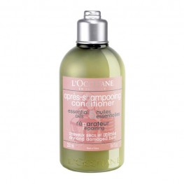 L'Occitane Repairing Conditioner for Dry & Damaged Hair 250ml